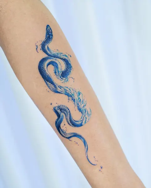 Dragon, 잉어, 세이렌, 크라켄, 오리엔탈
