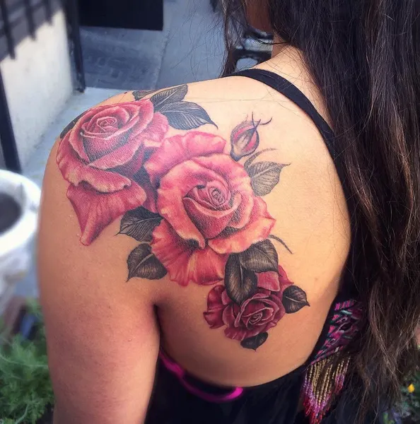 Flower, Rose, Nature
