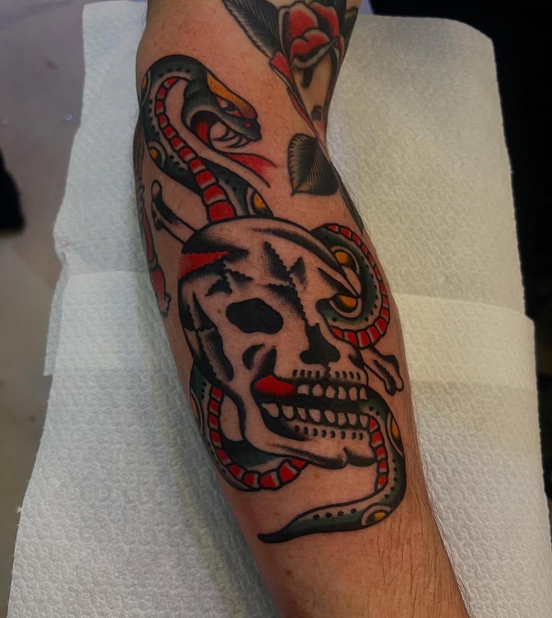 Skull
