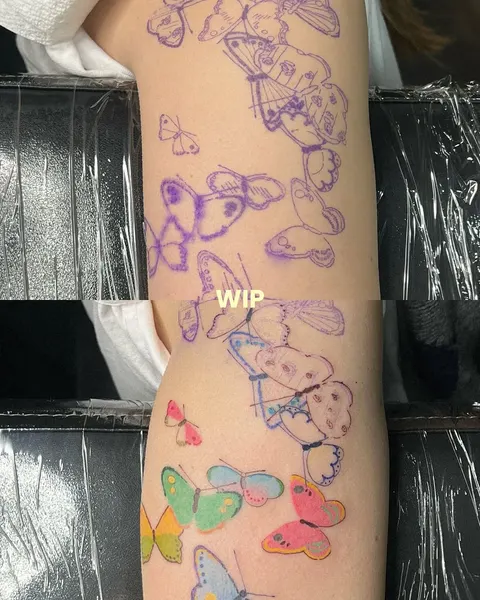 Animal, Nature, 나비