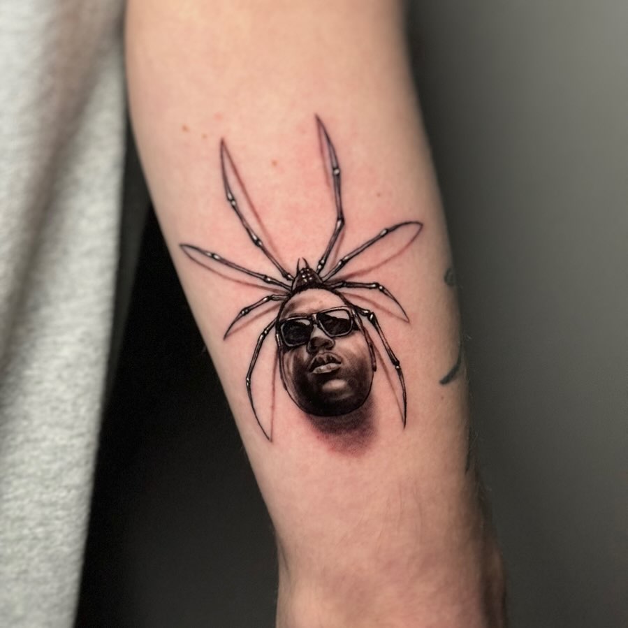 Animal, 거미, 딱정벌레