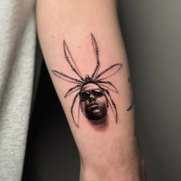 Animal, 거미, 딱정벌레