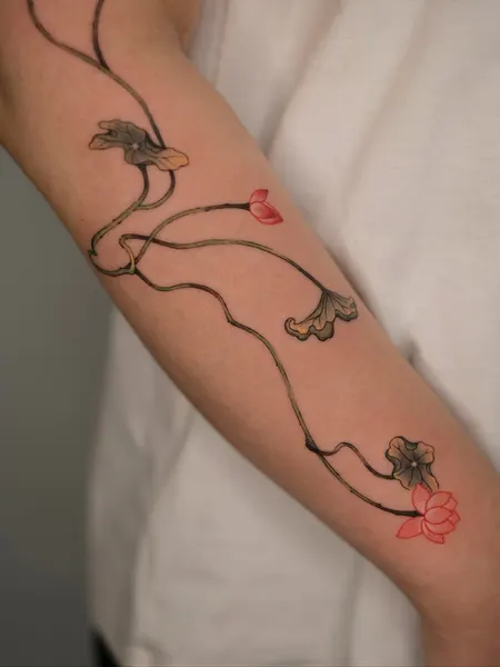 Flower, Rose, 강