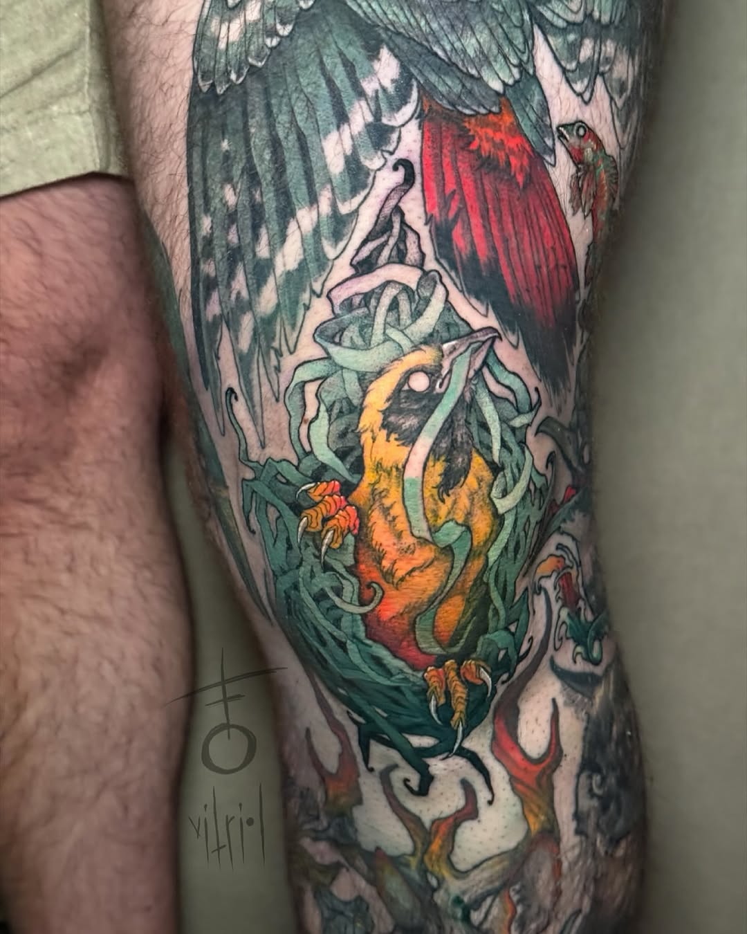vitrioltattoo