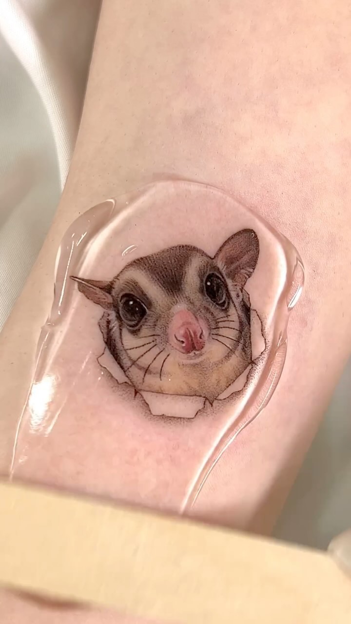 다람쥐