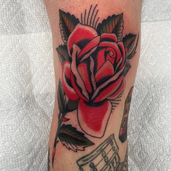 Flower, Rose