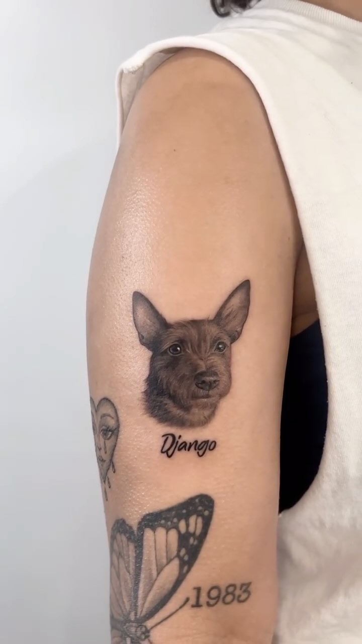 Animal