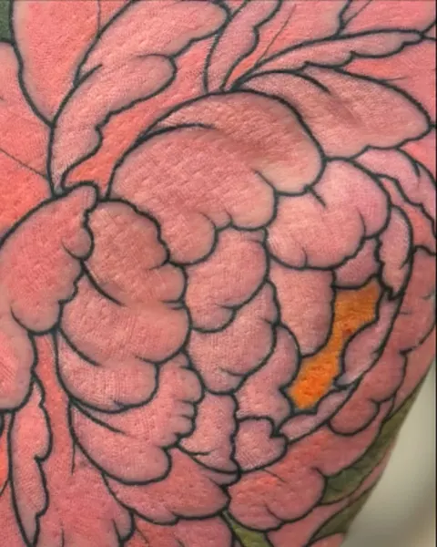 Flower, Rose, 구름 문양, 산호