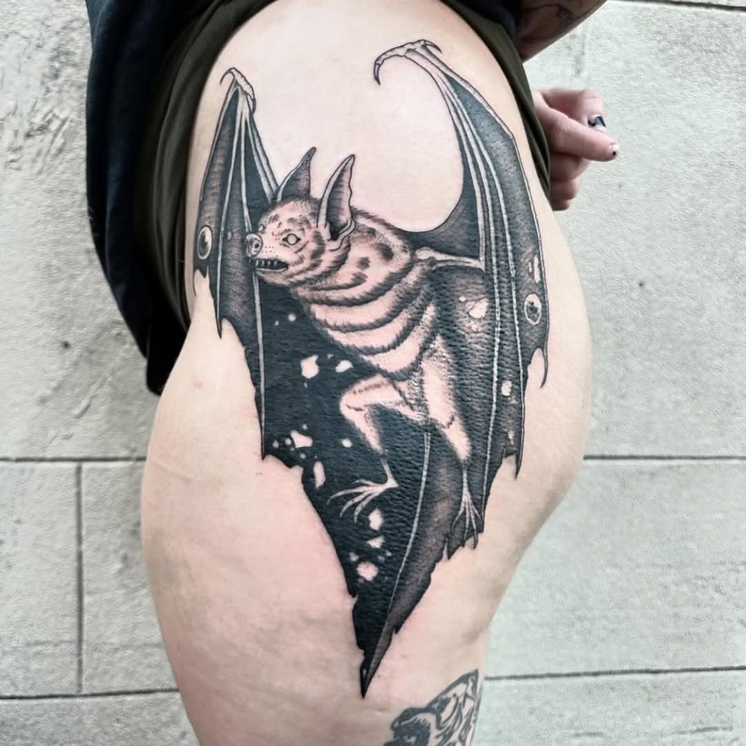 박쥐, Dragon