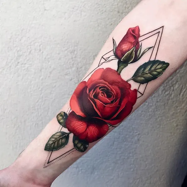 Rose, Flower