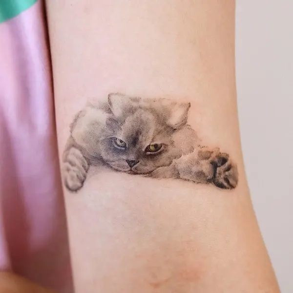 고양이