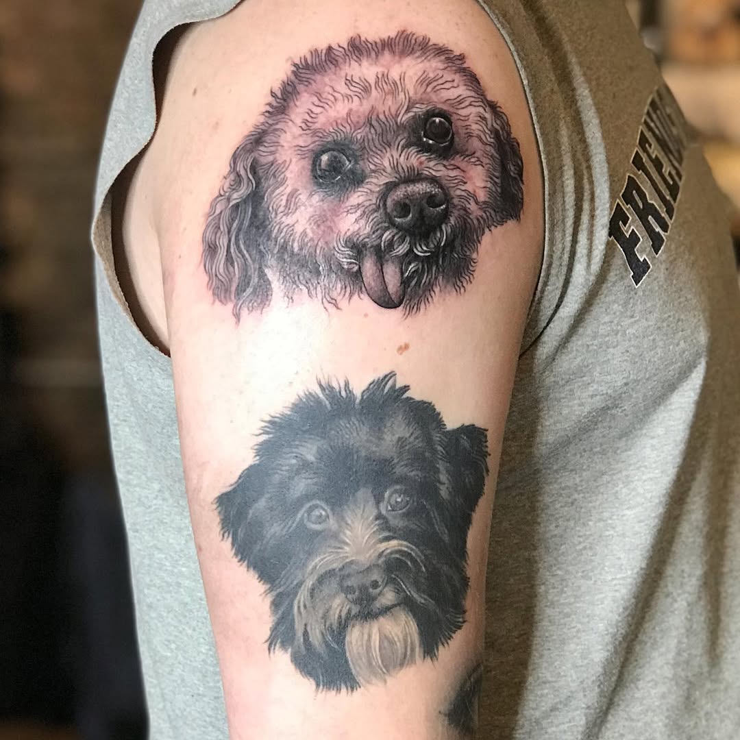 Animal