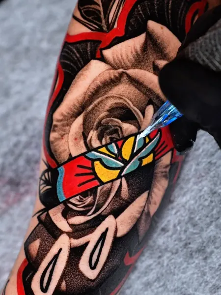 Flower, Rose