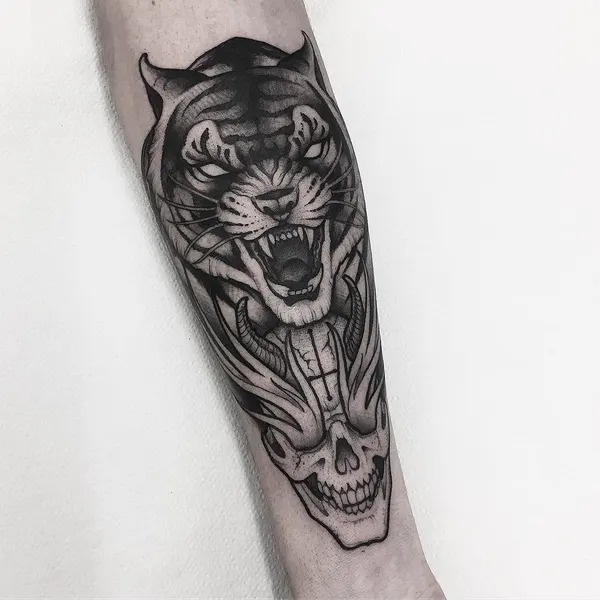 Tiger