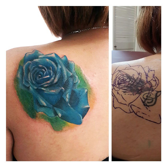 Flower, Rose
