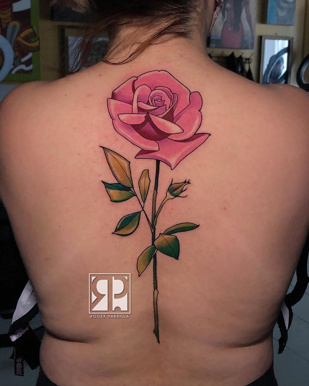 Flower, Rose, Nature