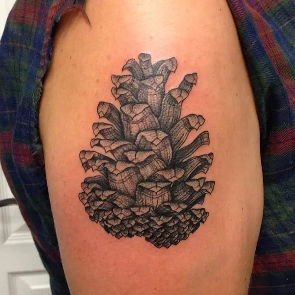 Flower, Nature, Mini, Rose
