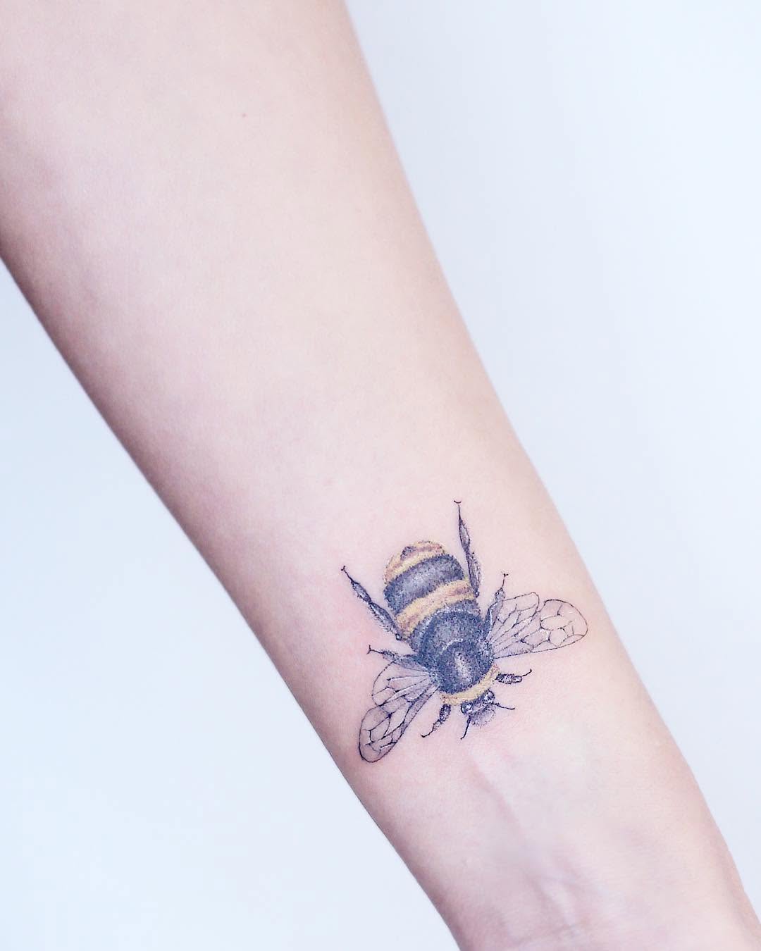 Animal, 벌