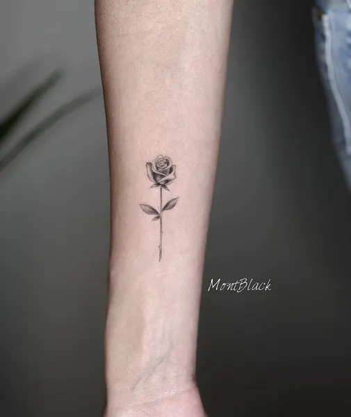 Flower, Rose