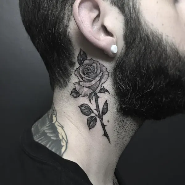 Flower, Rose