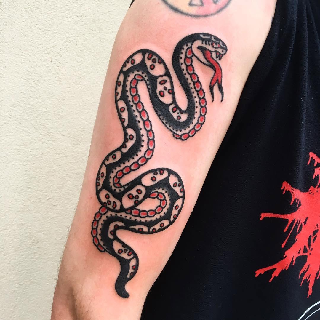 Dragon, Snake