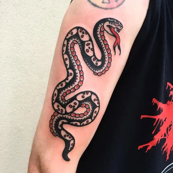 Dragon, Snake