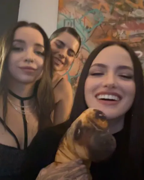 Animal