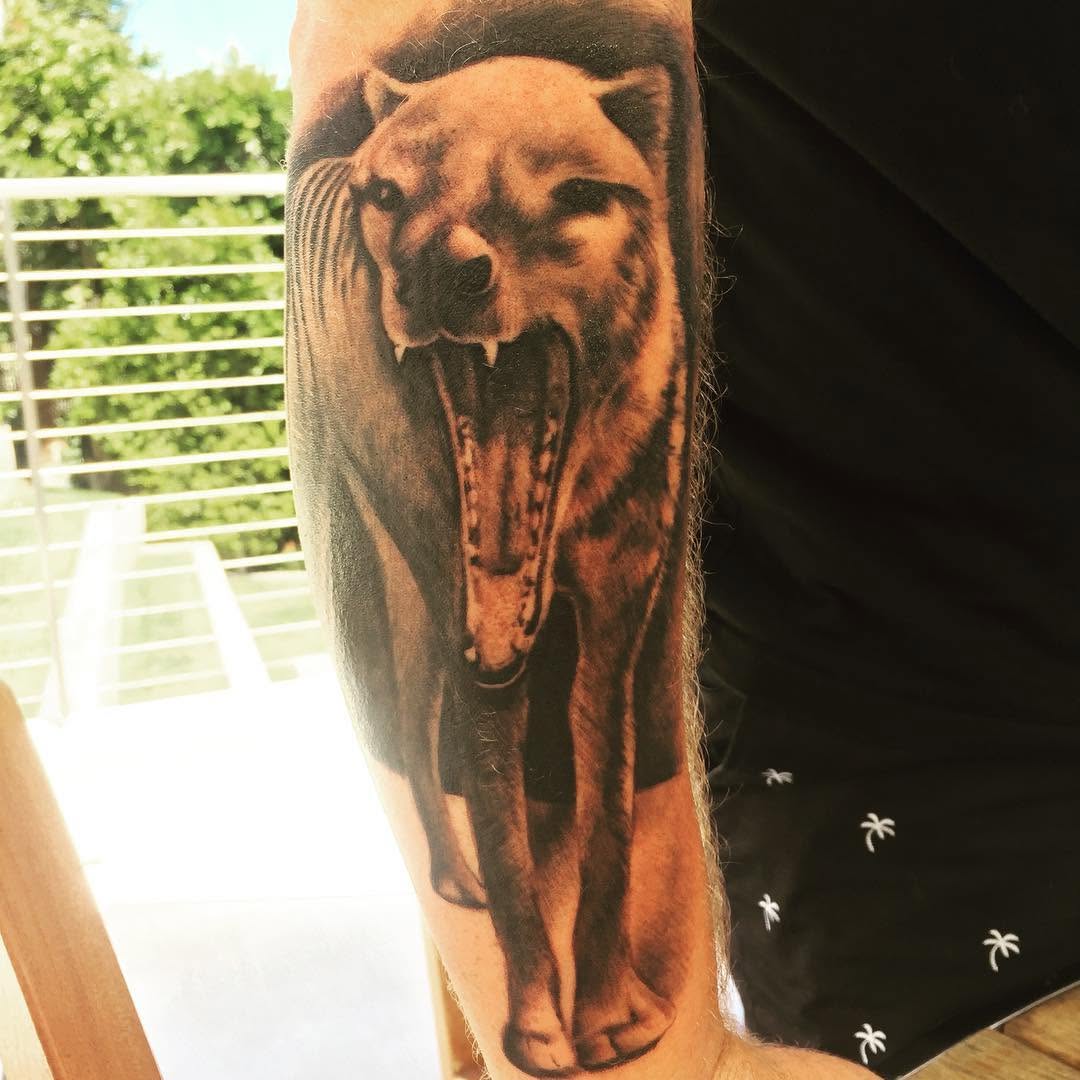 Animal, Tiger, 늑대인간