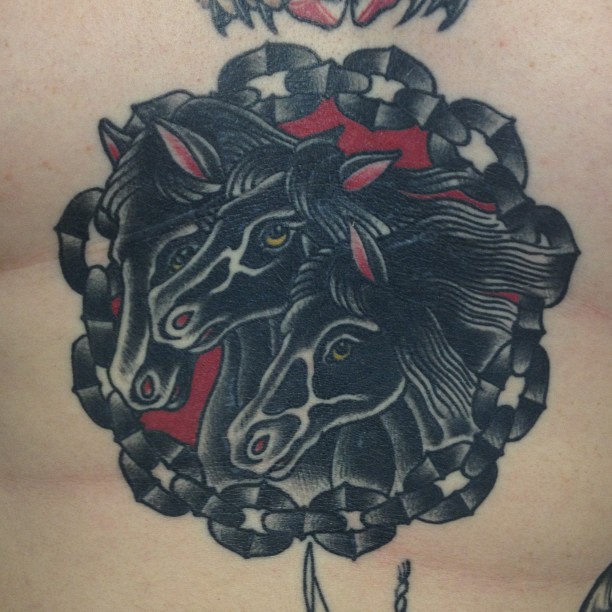 말, 황소