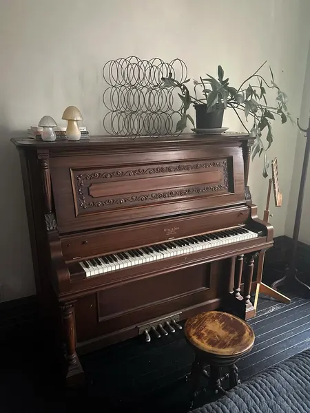 카메라, 마이크