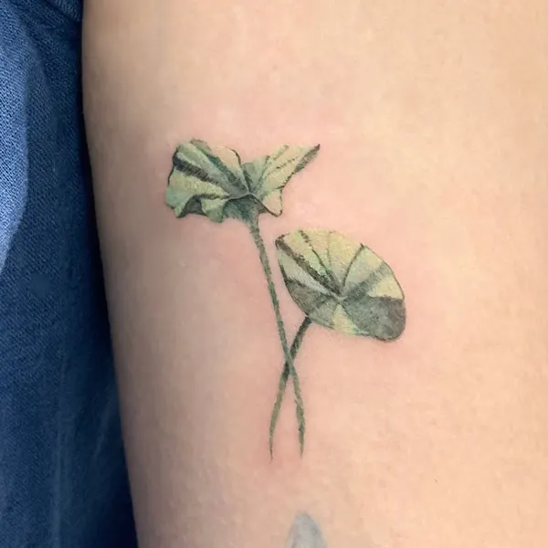 Flower, Rose, 잎, 국화, 덩굴, 허브, 수선화, 야생화, 은행잎, 탄생화, 히비스커스, 올리브 가지, 모란, 수국, 아이리스, 카네이션, 해바라기, Nature