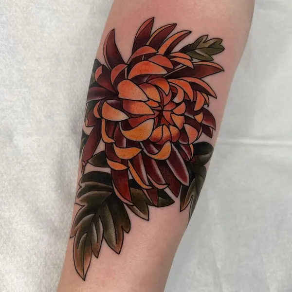 목련, Flower, Rose