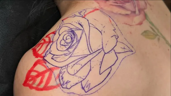 Flower, Rose, Nature
