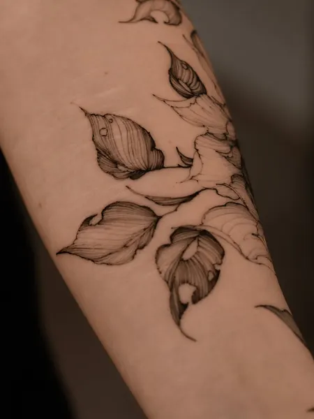 Flower, Rose, 멘디