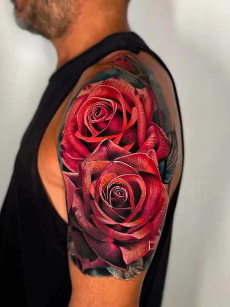 Rose, Nature, Flower