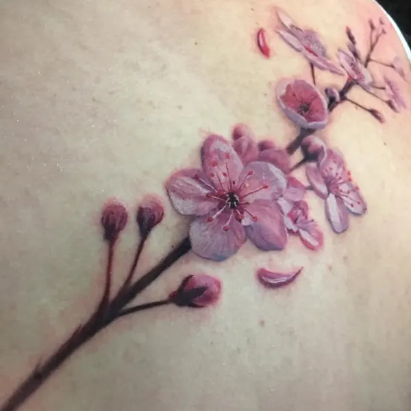벚꽃, Flower, 난초