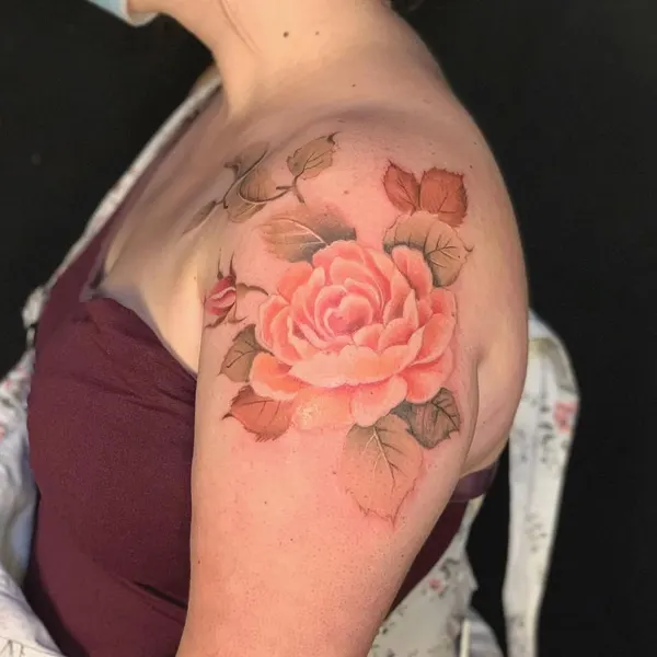 Flower, Rose, Nature