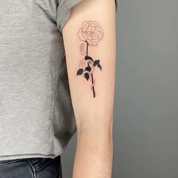 Flower, Rose, Nature