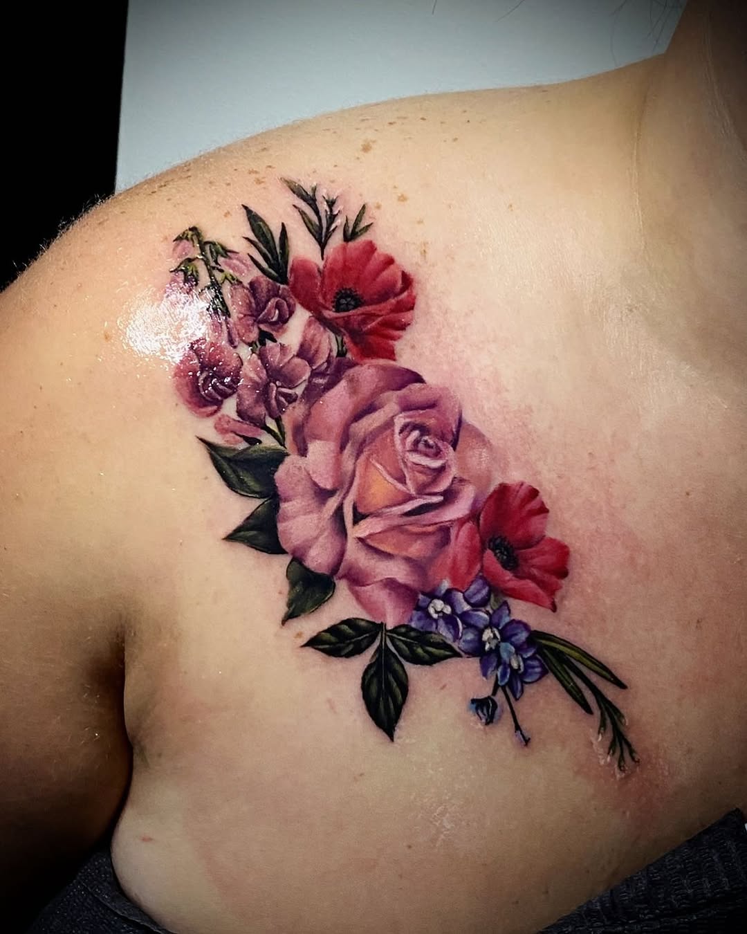 Flower, Rose, Nature