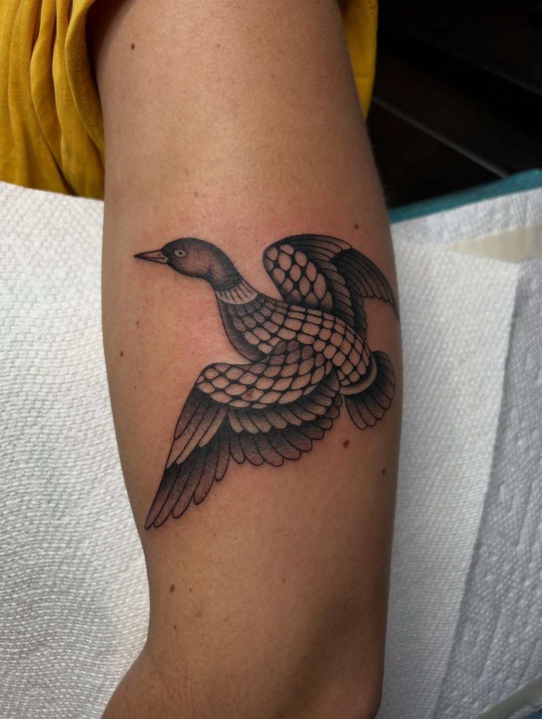ellentattoos