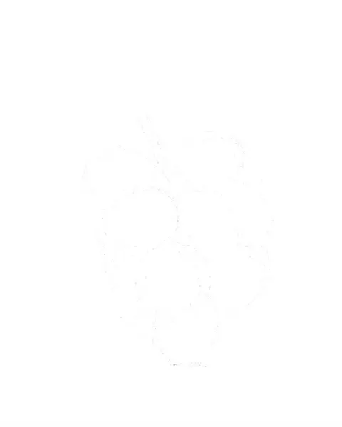 lifo_art