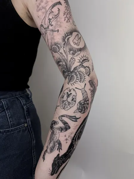 Dragon