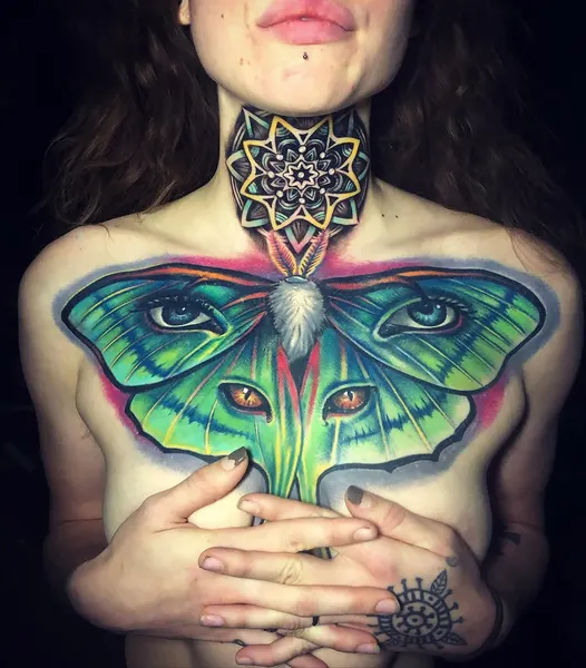 Animal, Nature, 나방