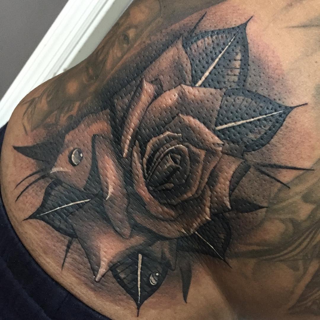 Flower, Rose, Nature