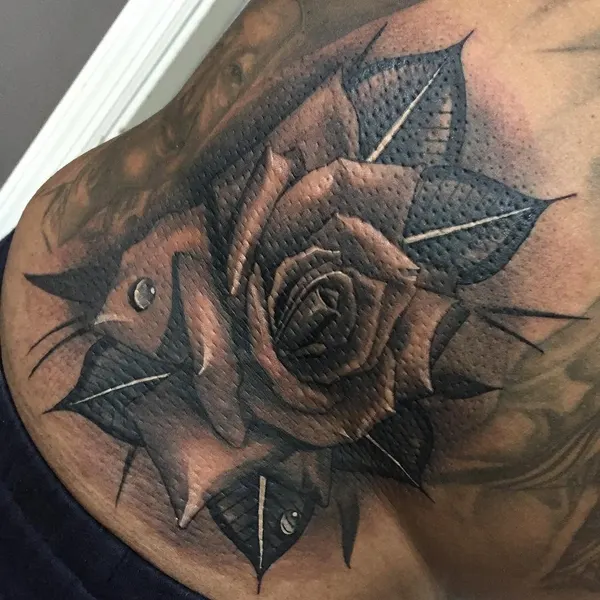 Flower, Rose, Nature