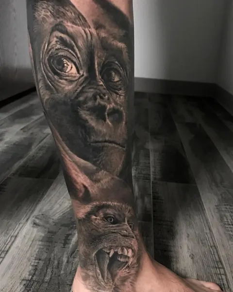 Tiger, Animal, 원숭이