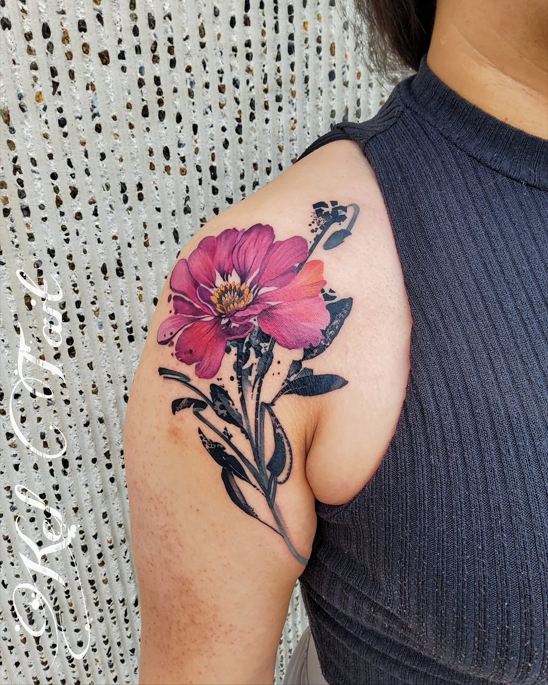 Flower, Rose, Nature