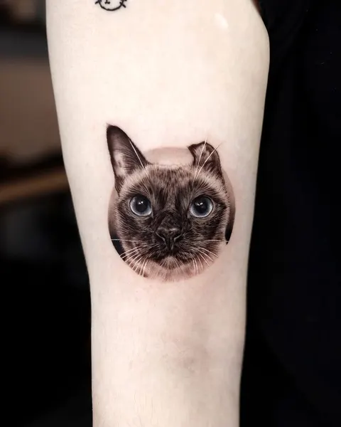 고양이