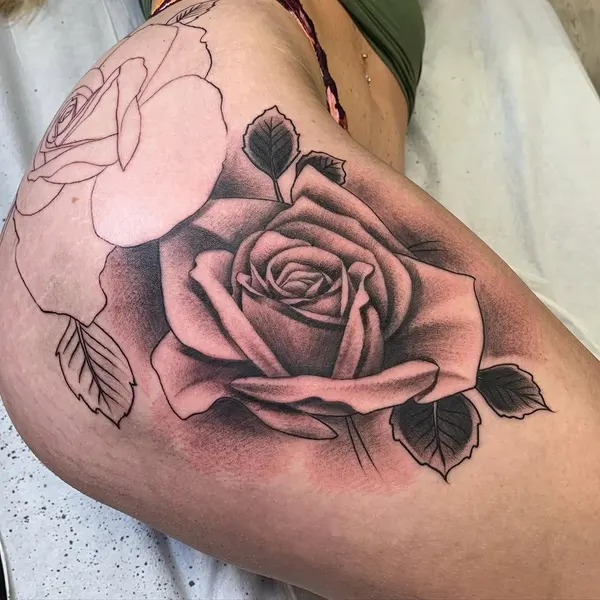 Flower, Rose
