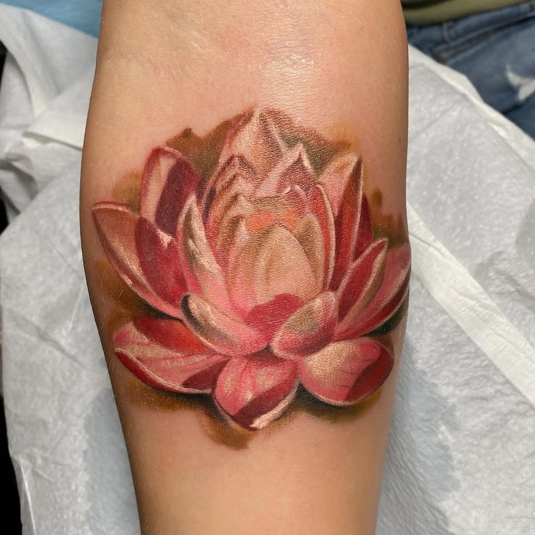 Flower, 목련, 백합, 연꽃, 한국 연꽃, 튤립, 연꽃 문양